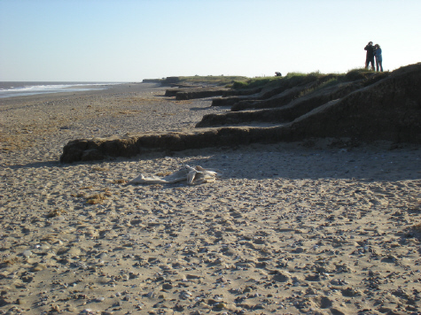  Kilnsea: 15 October 2011 